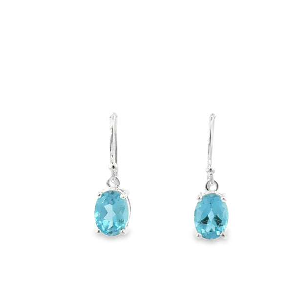 Silver Earring