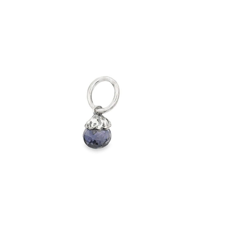 Silver Charm