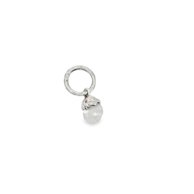 Silver Charm