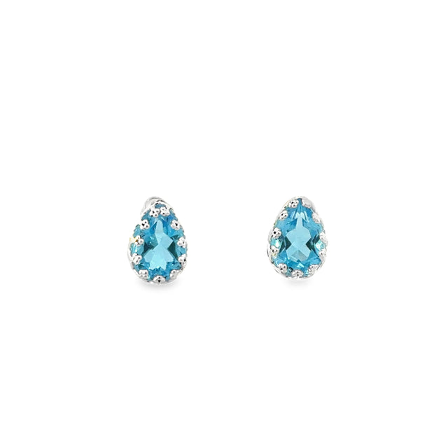 Silver Earring