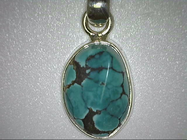 Sterling Southwest Turquoise P