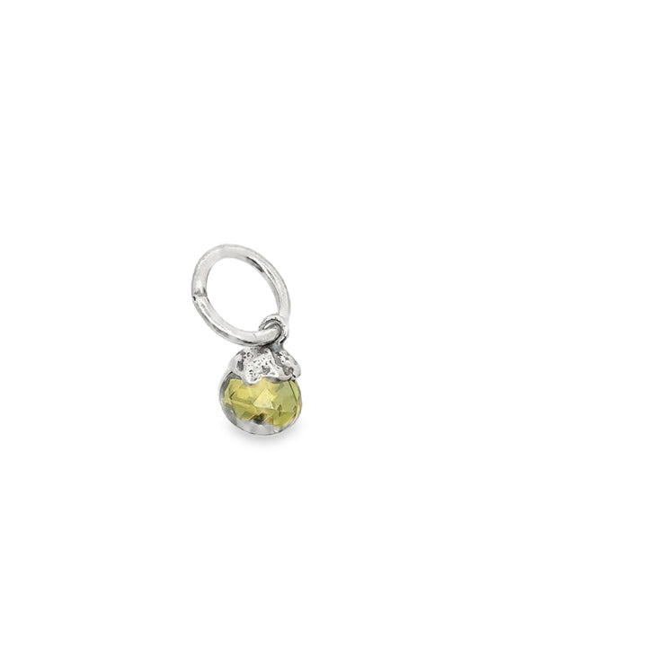 Silver Charm