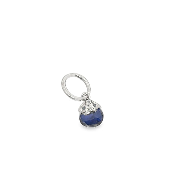 Silver Charm