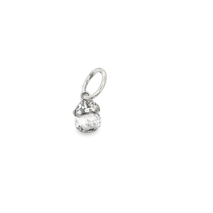 Silver Charm