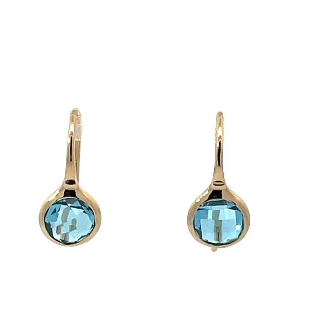 Colored Stone Earring