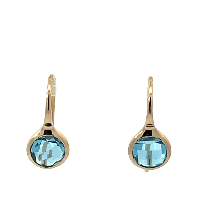 Colored Stone Earring